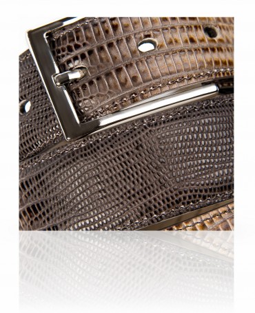 Ремень Унисекс 4045/35/Iguana.Tortora